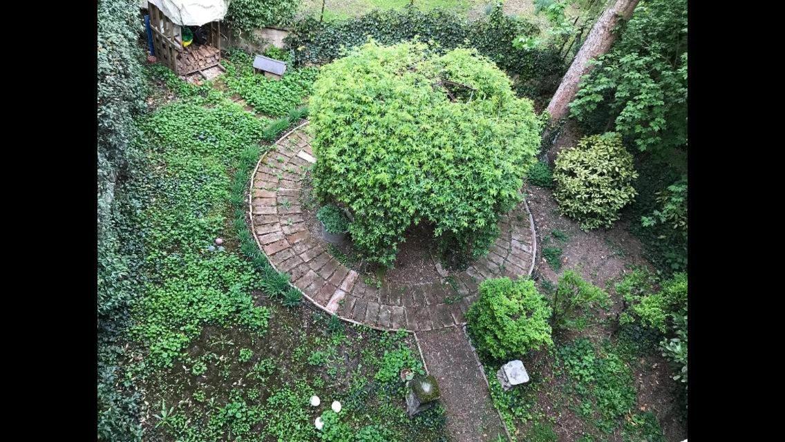 Casa Luminosa Con Giardino In Centro Storico Apartment Reggio Emilia Exterior photo